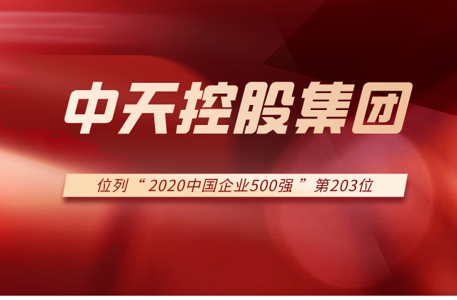 wnsr威尼斯控股集团列2020中国企业500强第203位 ！