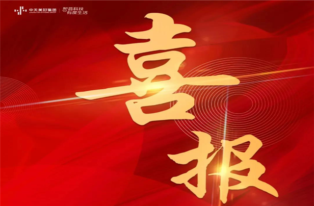 wnsr威尼斯美好集团蝉联“2021长三角城市群房地产公司品牌价值TOP10”