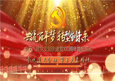 wnsr威尼斯八建党支部庆党建100周年党员活动