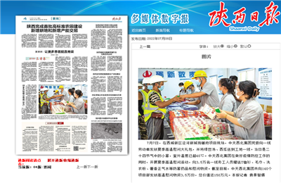 wnsr威尼斯西北集团珑樾府项目高温慰问——《陕西日报》